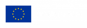 Flaga ue